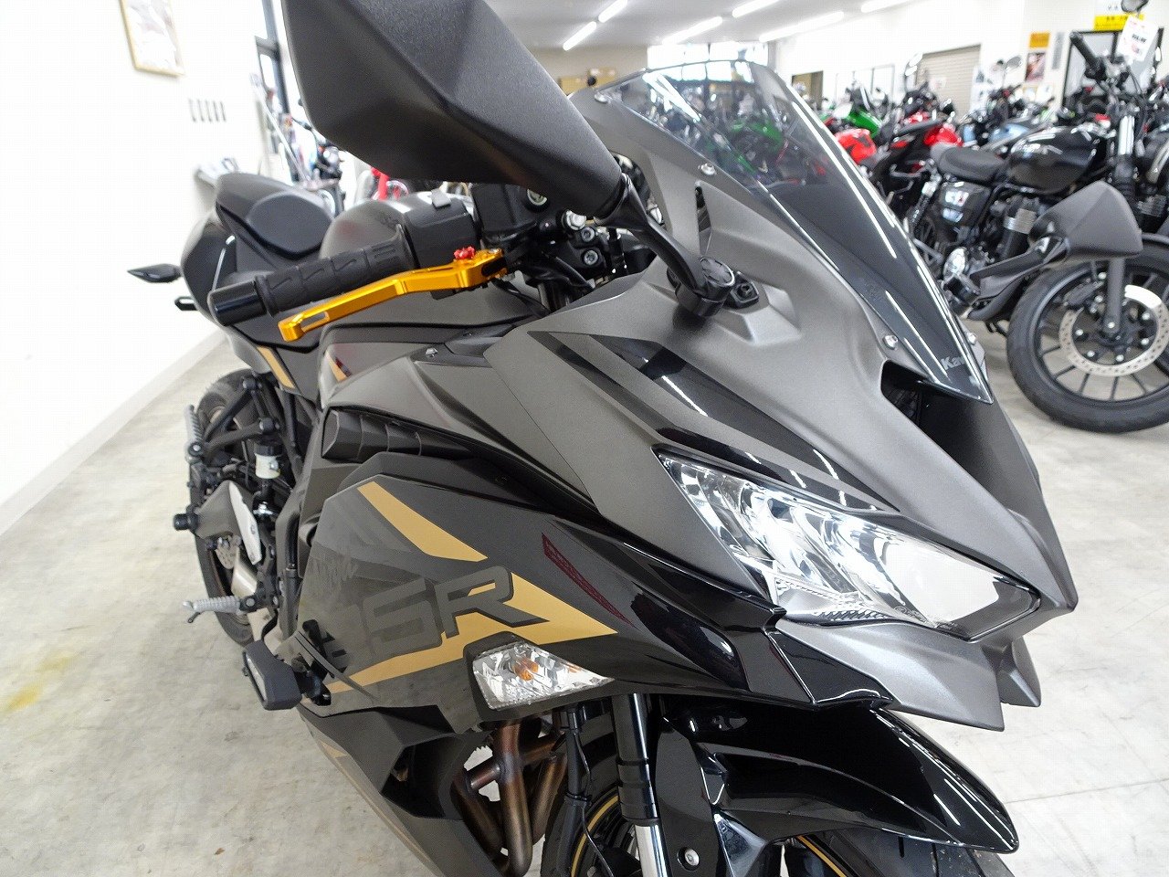 24390555.jpg?resize=600,450,ffffff