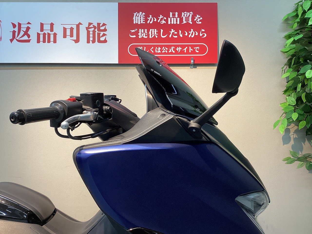 24511785.jpg?resize=600,450,ffffff