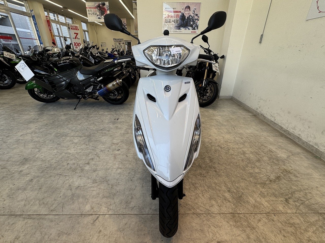 24594834.jpg?resize=600,450,ffffff