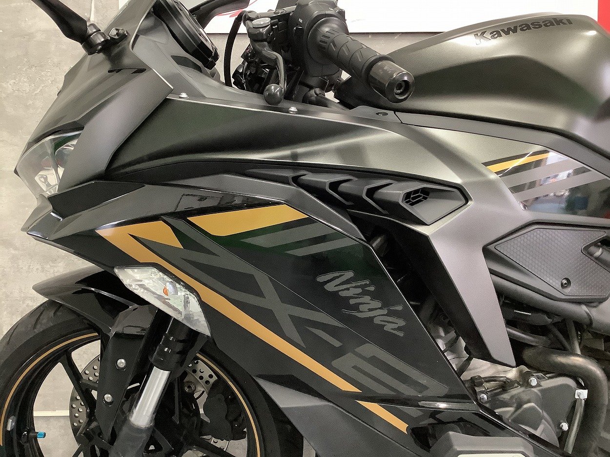 24606624.jpg?resize=600,450,ffffff