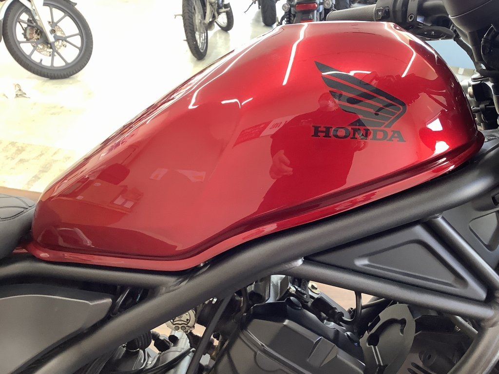 24646411.jpg?resize=600,450,ffffff