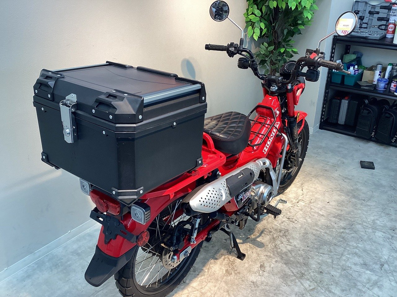 24675245.jpg?resize=600,450,ffffff