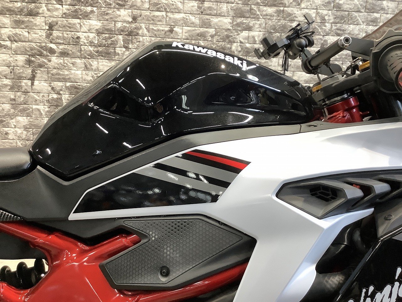 24761111.jpg?resize=600,450,ffffff