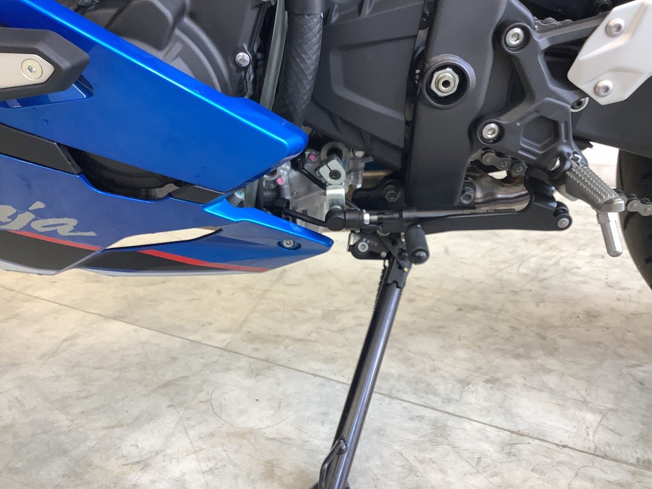 25071507.jpg?resize=600,450,ffffff