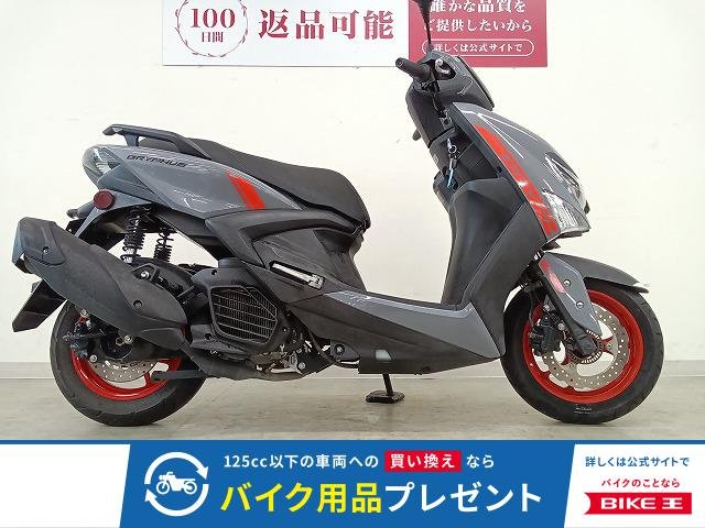 CYGNUS GRYPHUS　フルノーマル／2022年モデル！!