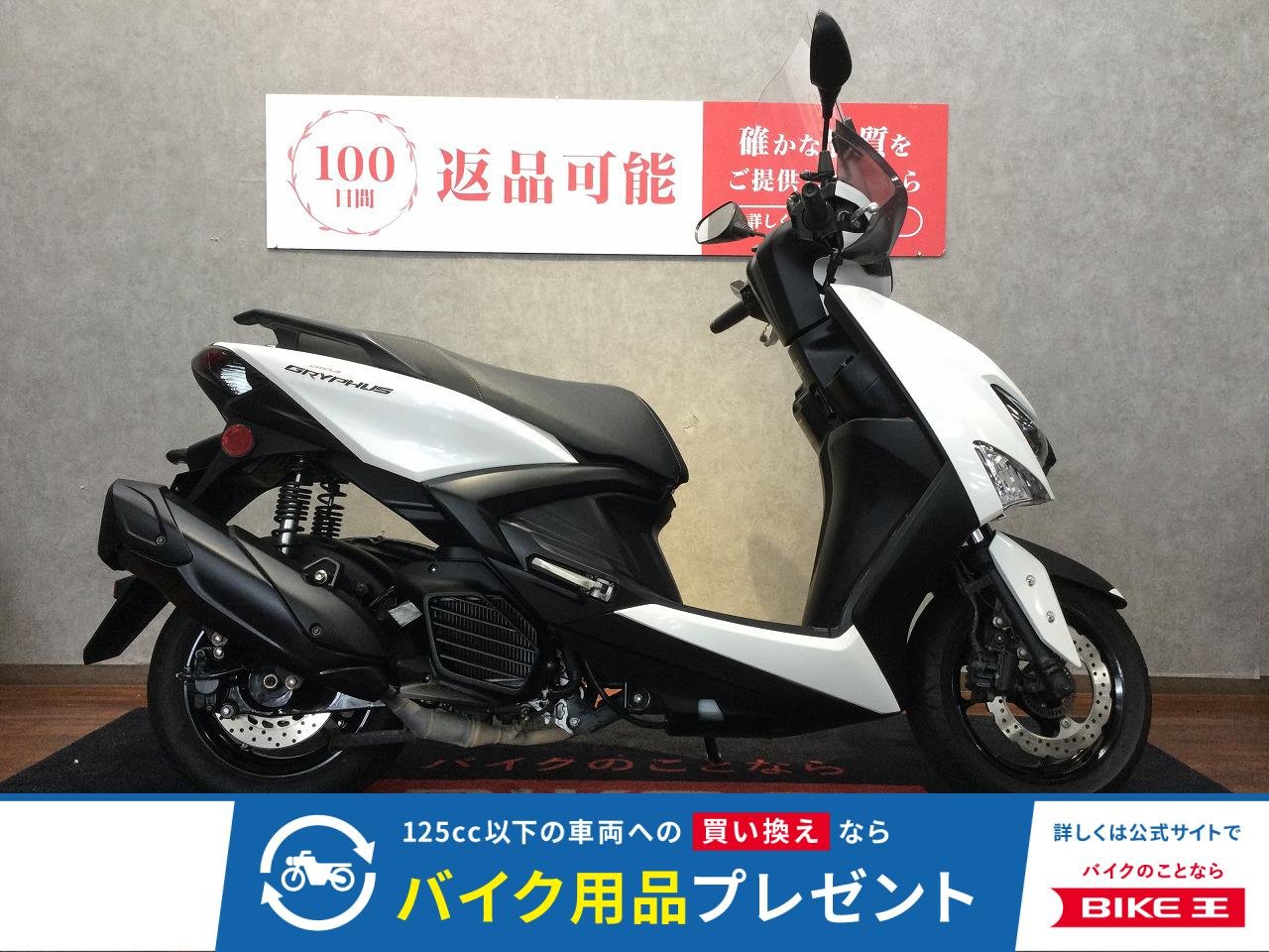 CYGNUS GRYPHUS【スクリーン・ナックルガードカスタム】！!