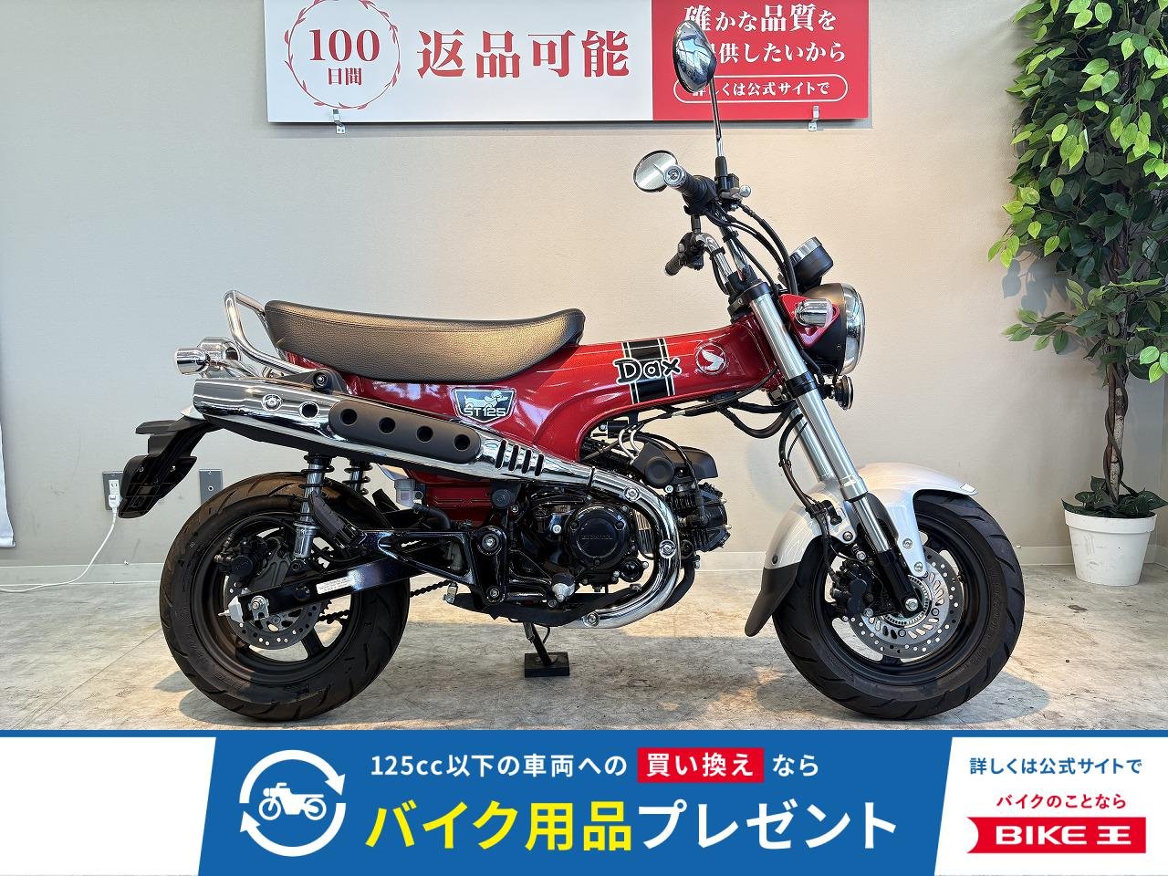 ダックス１２５　２０２３年モデル！!