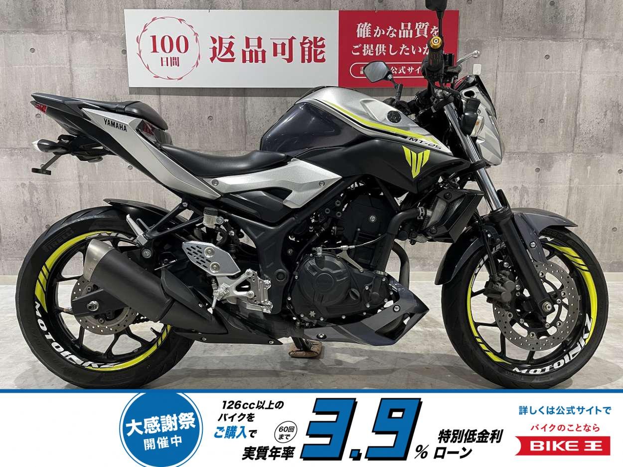 MT-25　2017年モデル　フェンダーレス！!