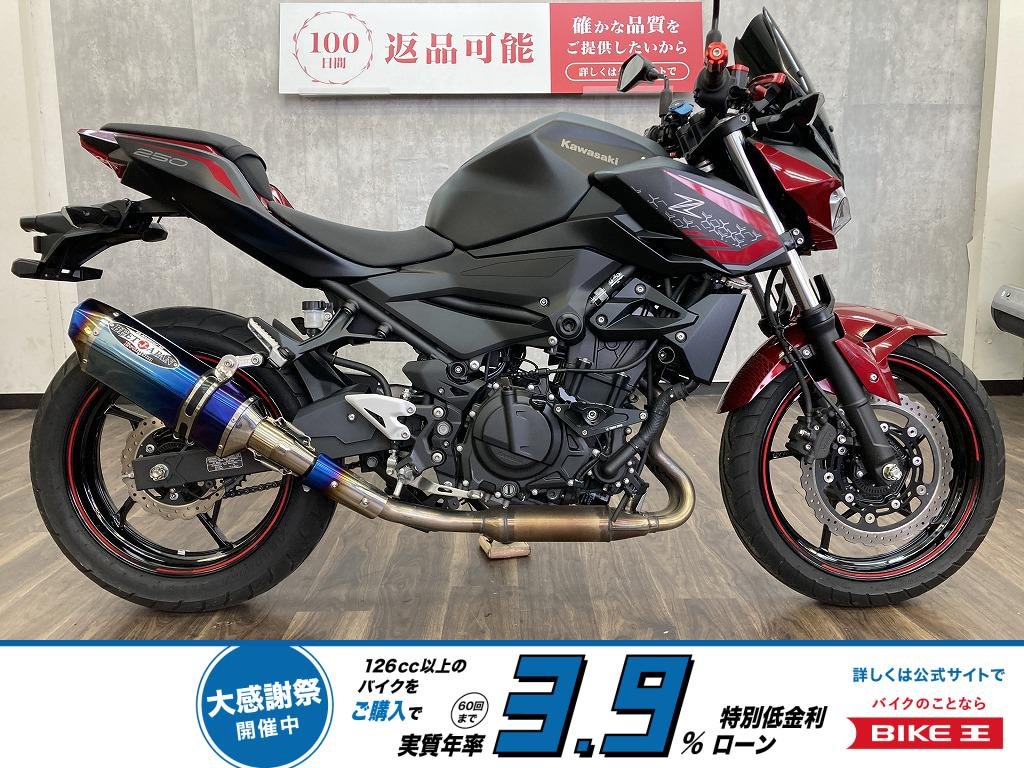 Ｚ２５０　２０２１年モデル　ＢＥＥＴ製スリップオンマフラー・ＴＲＩＣＫ　ＳＴＡＲ製エンジンスライダー装備!！!
