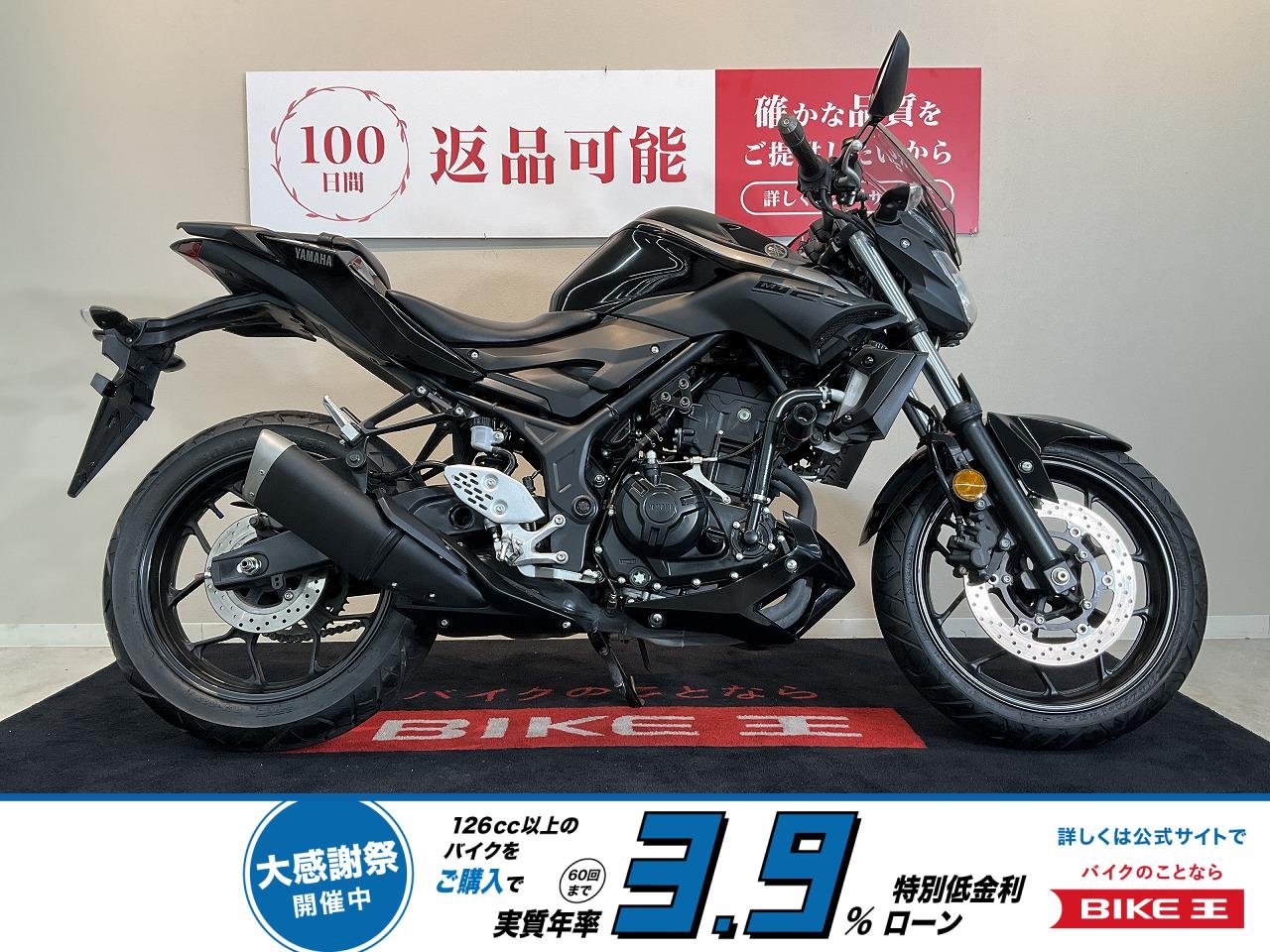 MT-25【スクリーン　ミラー　デイトナエンジンスライダー】