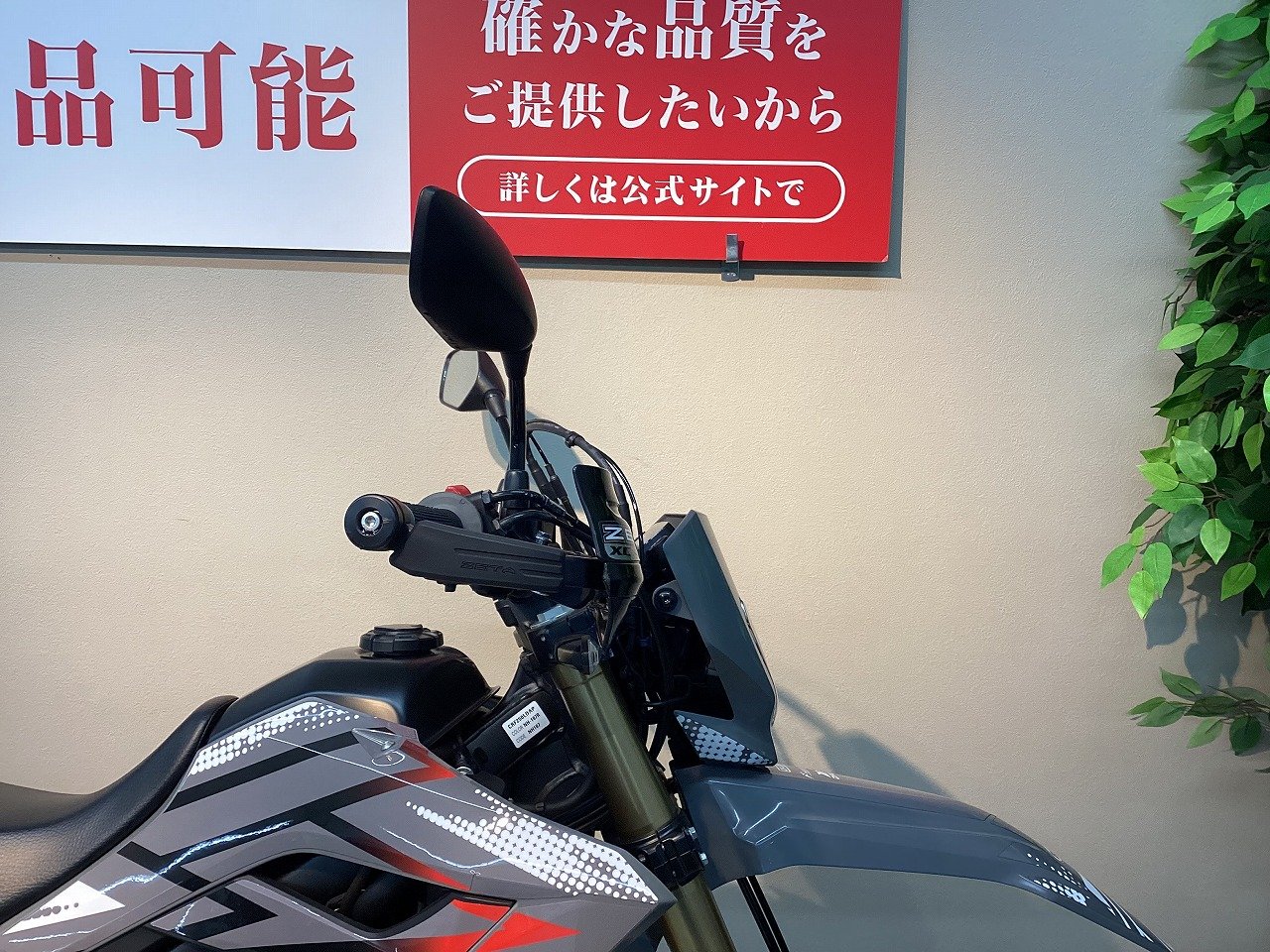 25655316.jpg?resize=600,450,ffffff