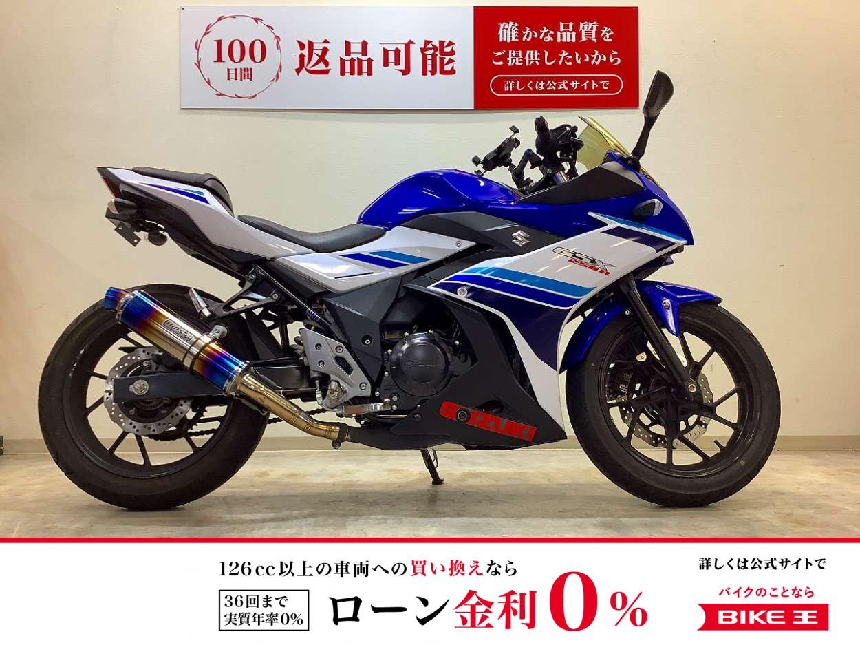 GSX250R　ミラースクリーン・可動式レバー・BMS-Rマフラー装備