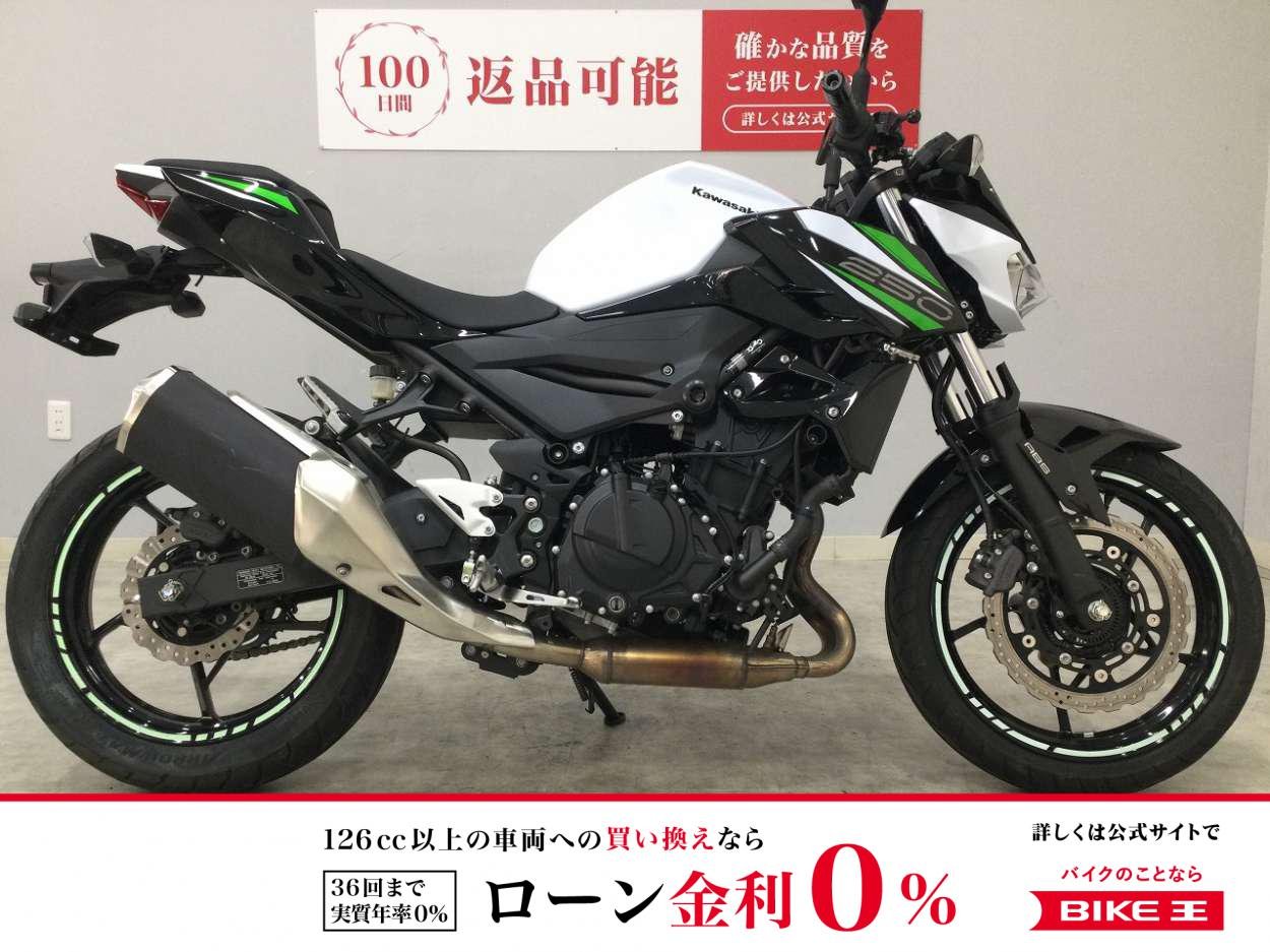 Z250　EX250P　2019年式モデル　フルノーマル