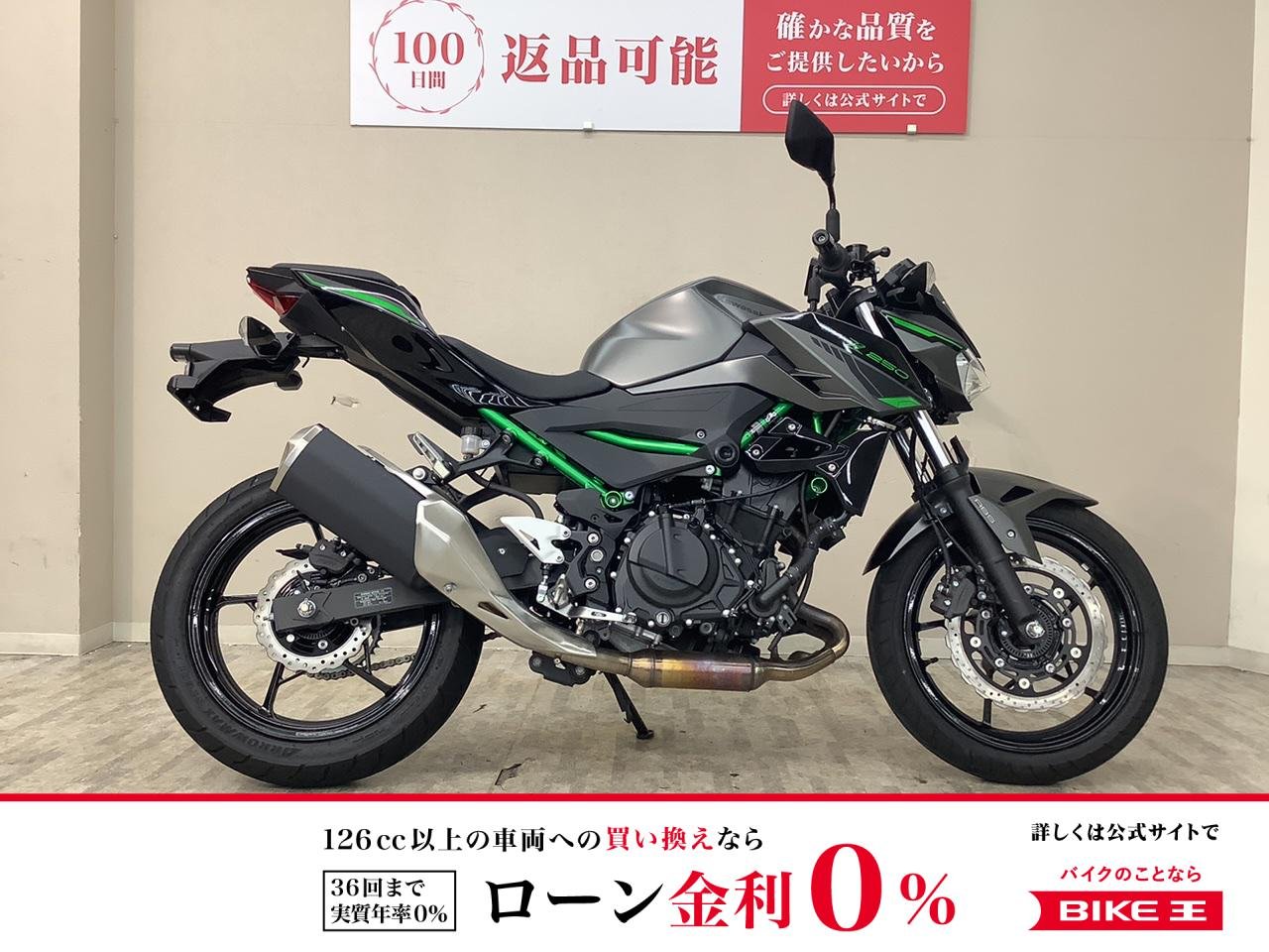Ｚ２５０　２０２４年モデル　ＥＸ２５０Ｙ型　ノーマル