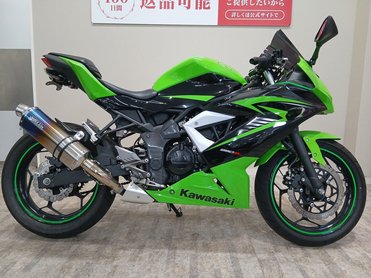 【専用】たなべ 26132257.jpg?resize=600,450,ffffff