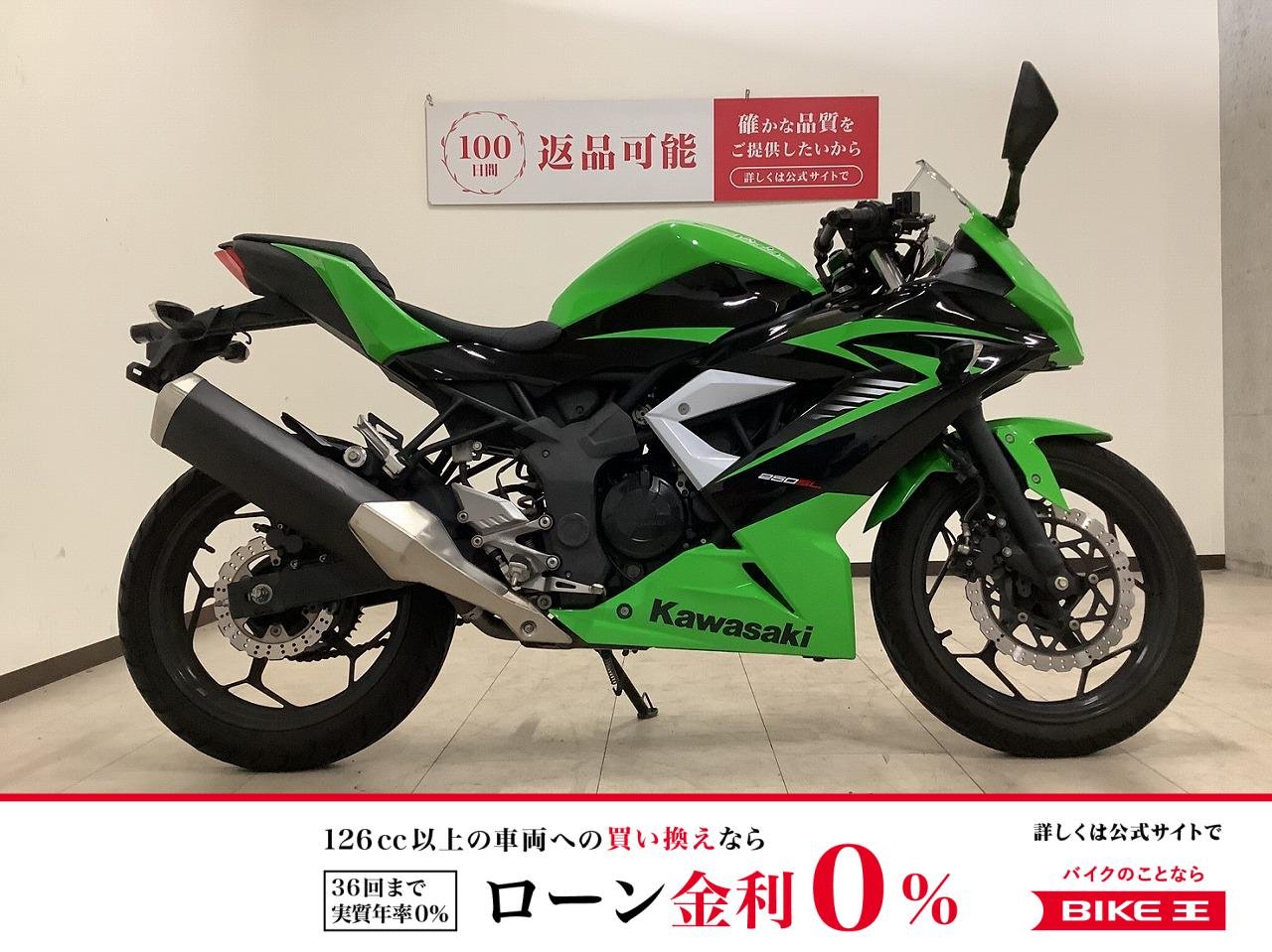 Ninja 250SL　2015年モデル　レバーカスタム