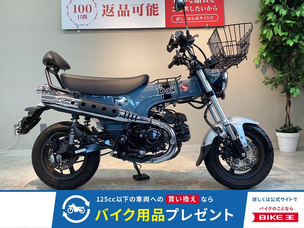 ダックス１２５　２０２３年モデル　フロントバスケット　センターキャリア　バックレスト装備