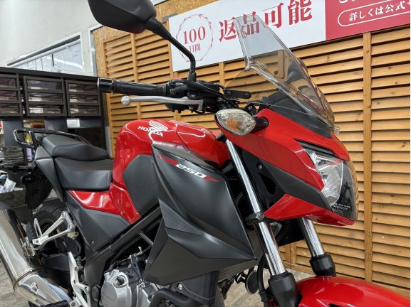 画像8