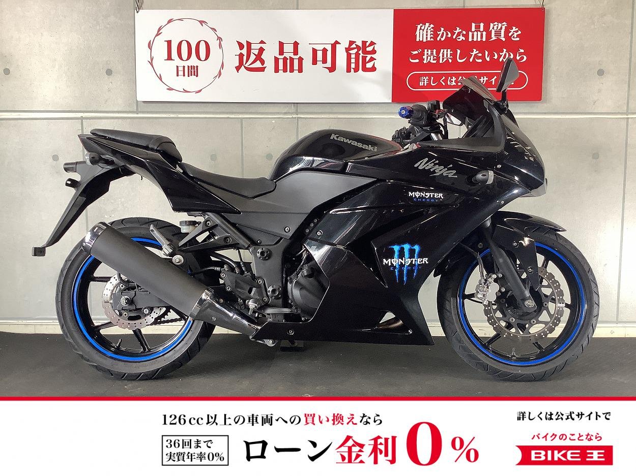 ＮＩＮＪＡ２５０Ｒ　外装ペイント　スクリーンカスタム！!