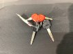 画像8