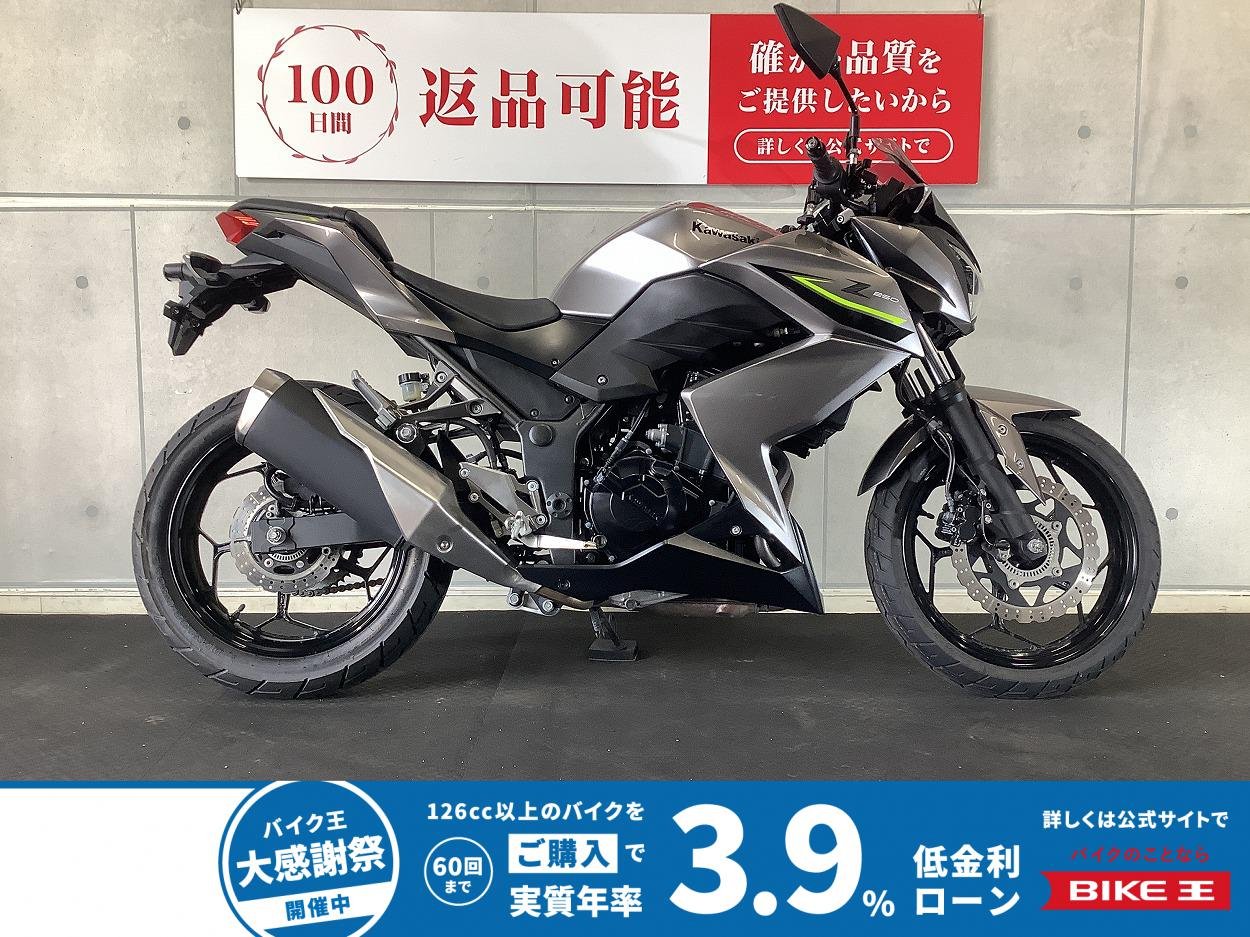 ＊Ｚ２５０　外装ペイント　ＭＲＡスクリーン
