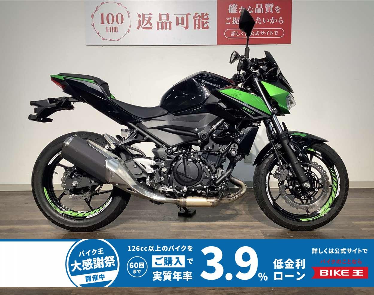 Ｚ２５０　★２０２３年モデル／スライダー