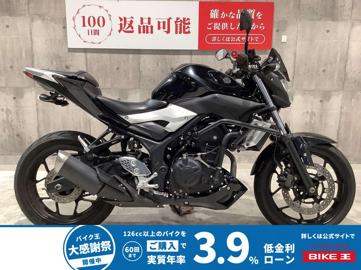 MT-25　2016年モデル　エンジンガード　フェンダーレス　USB2口　レバーカスタム