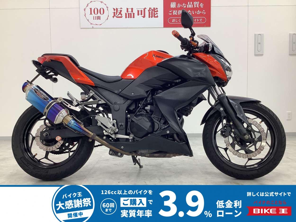 Z250　2014年モデル　カスタムマフラー　カスタムスクリーン　カスタムレバー