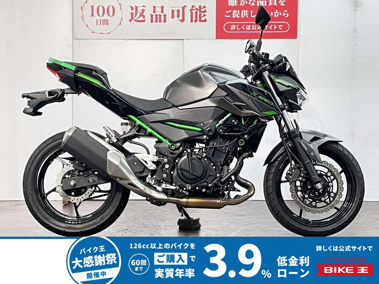 Ｚ２５０　ＡＢＳ　２０２４年モデル　カスタムグラブバー