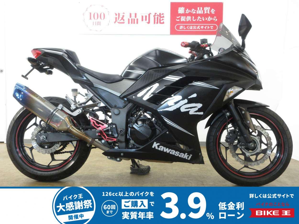 Ninja 250（ニンジャ250）／ABS／ストライカー製政府認証マフラー／トリックスターバックステップ／フエンダーレス