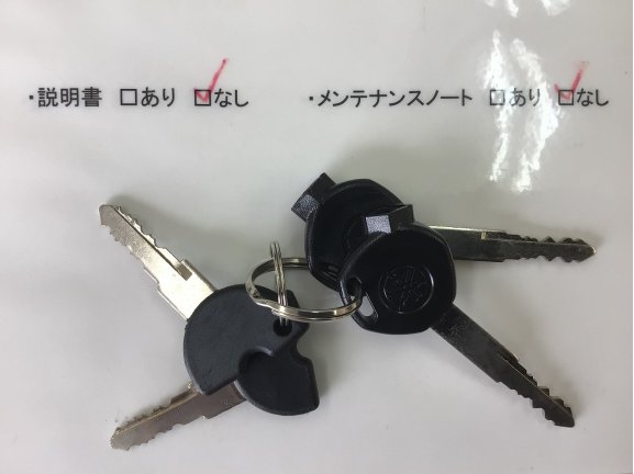 画像9