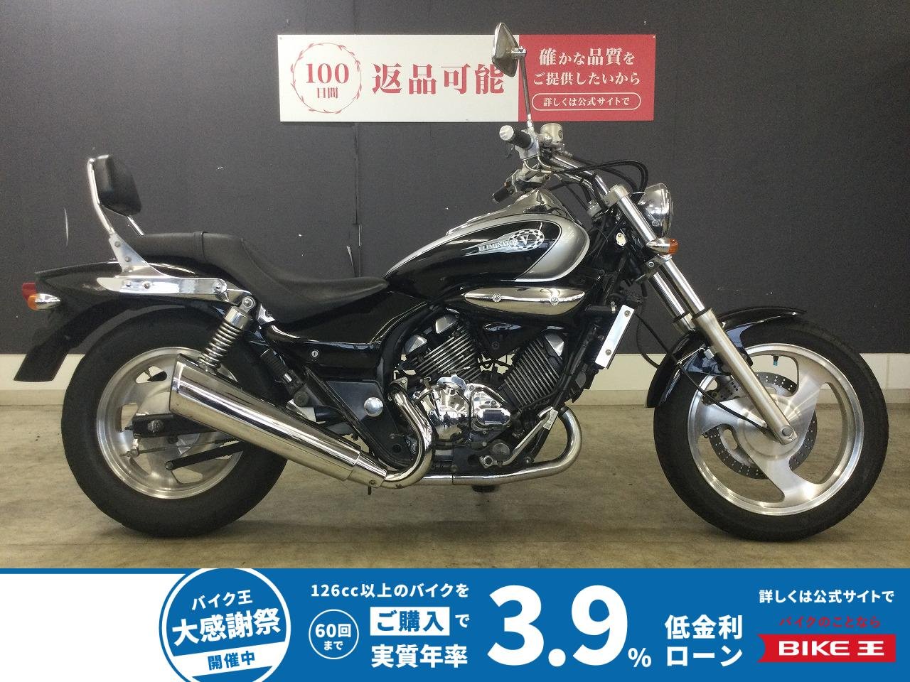 エリミネーター２５０Ｖ　１９９８年モデル　バックレスト