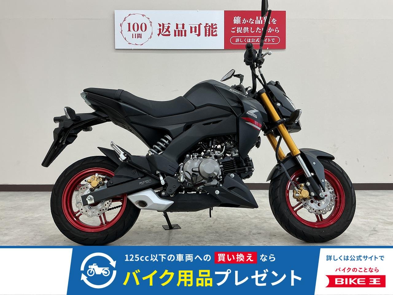 Ｚ１２５　ＰＲＯ　ミラーカスタム