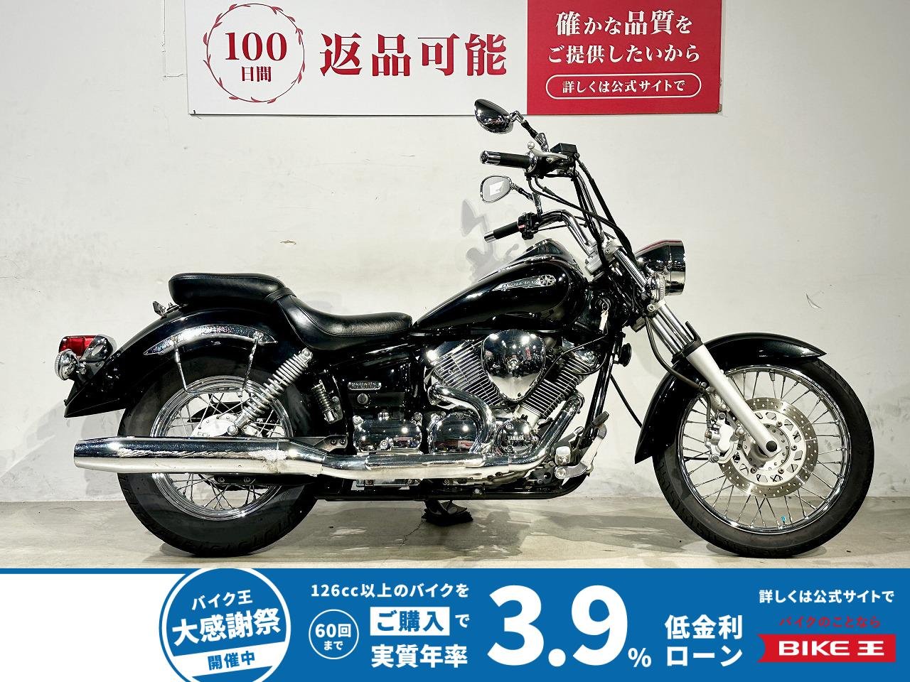 ドラッグスター２５０　２００８年モデル　ＶＧ０５Ｊ型　サドルバックサポート