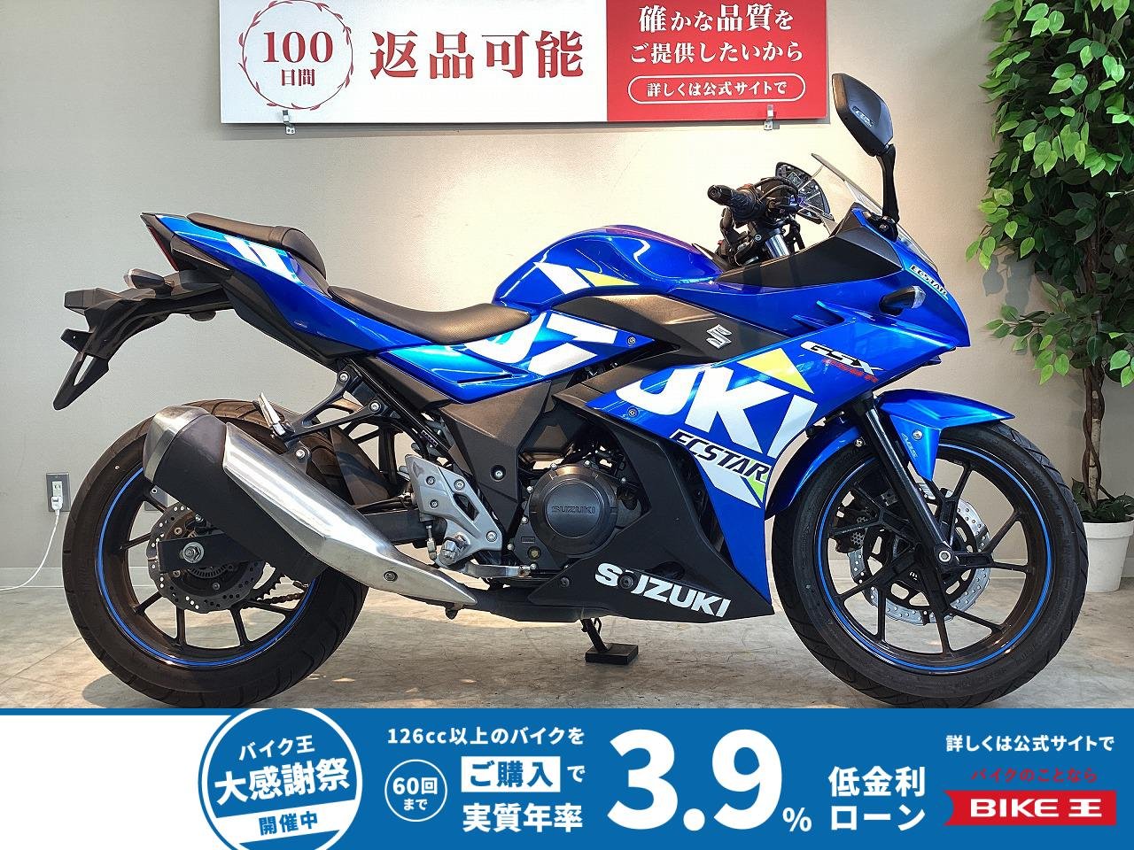 ＧＳＸ２５０Ｒ　ＡＢＳ　エクスターカラー！!