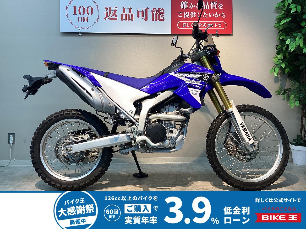 WR250R　2015年モデル　スクリーン装備